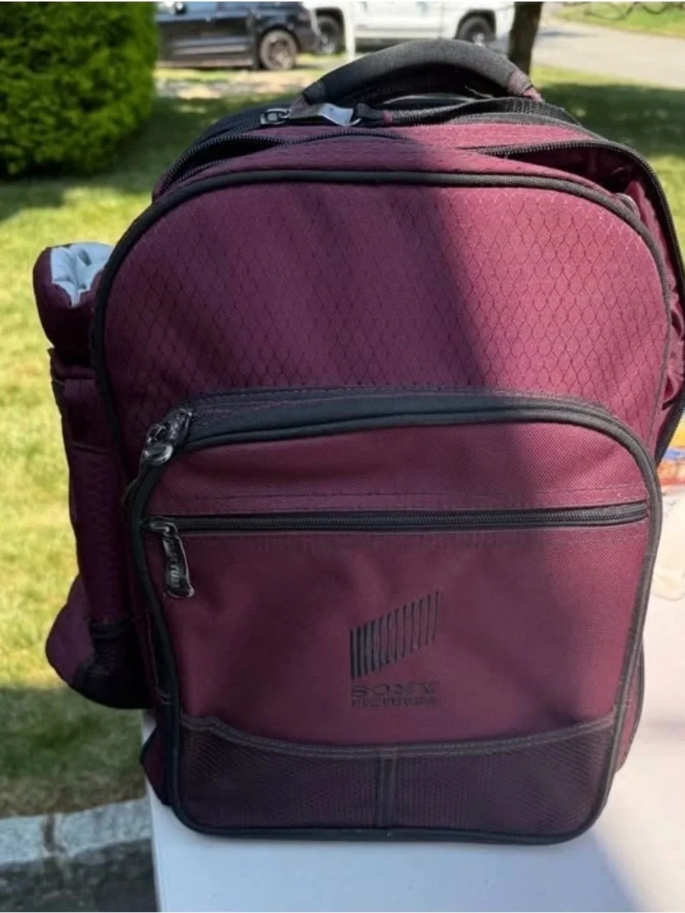 SONY PICTURES Burgundy Picnic Backpack Set with Plates , glasses Silverware